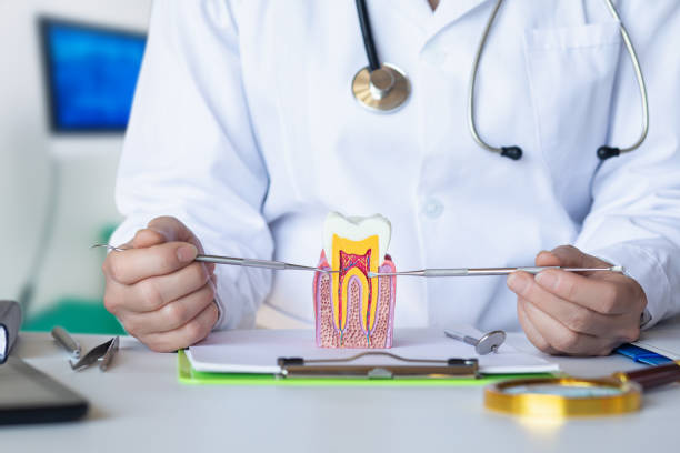 Best Emergency Dental Services for Seniors in Greenbriar, FL